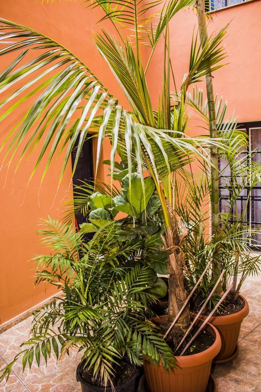 Apartments San Marcos Icod De Los Vinos Dış mekan fotoğraf